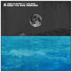 Cover of Need You Now (Remixes)
