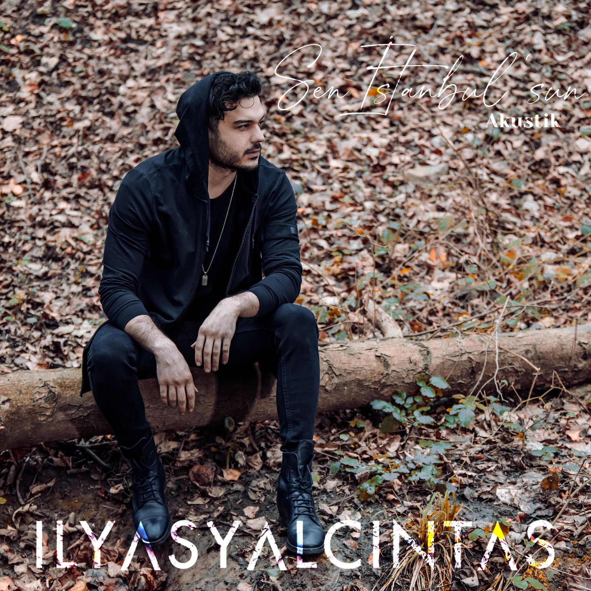 Album cover of Sen İstanbul'sun