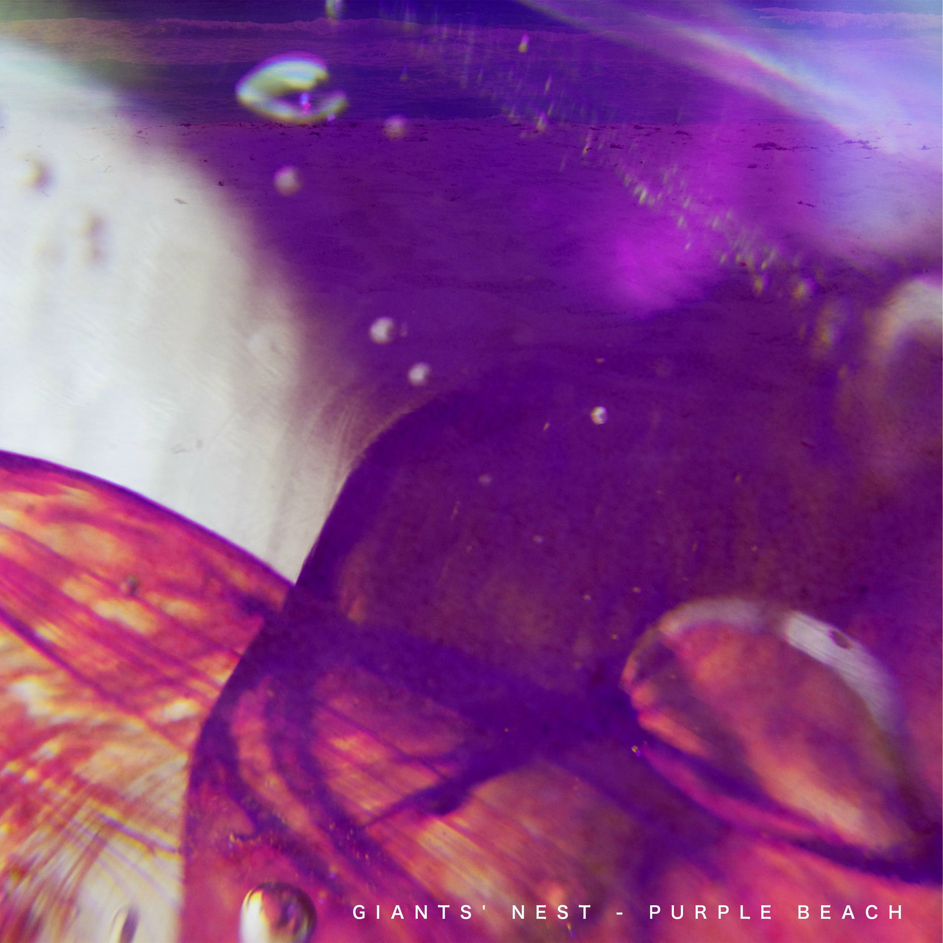 Album cover of Purple Beach