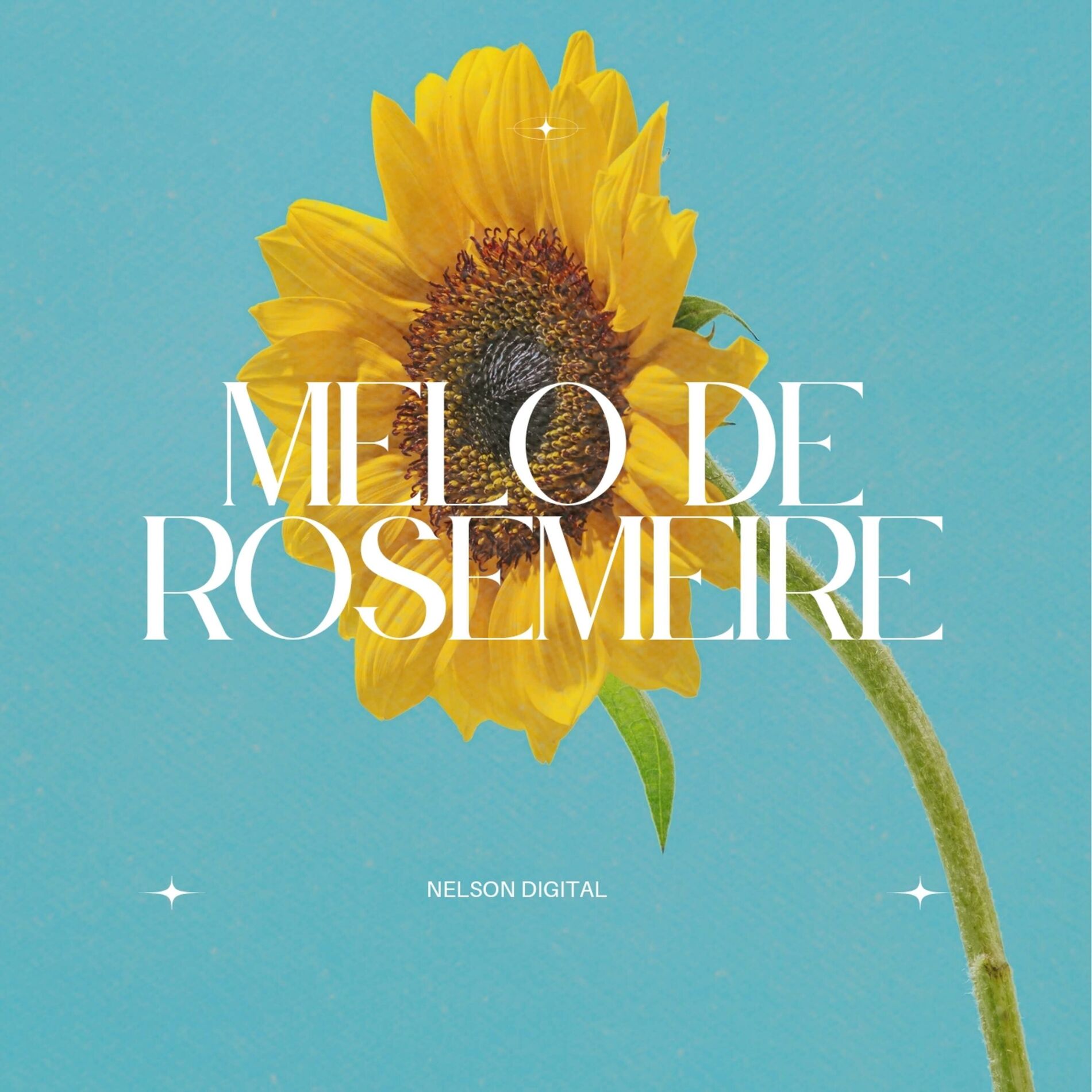 Album cover of Melo de Rosemeire