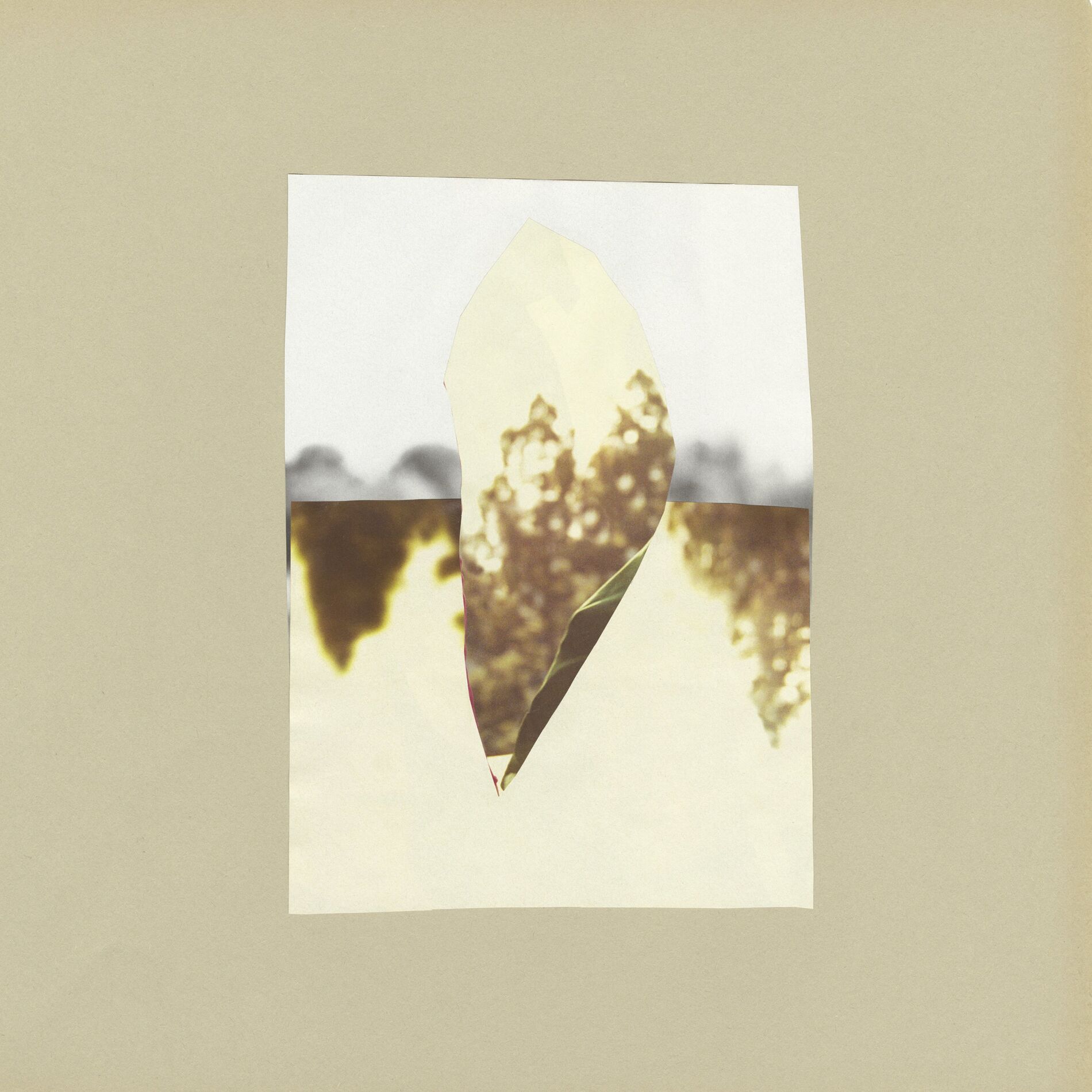 Album cover of Lysning