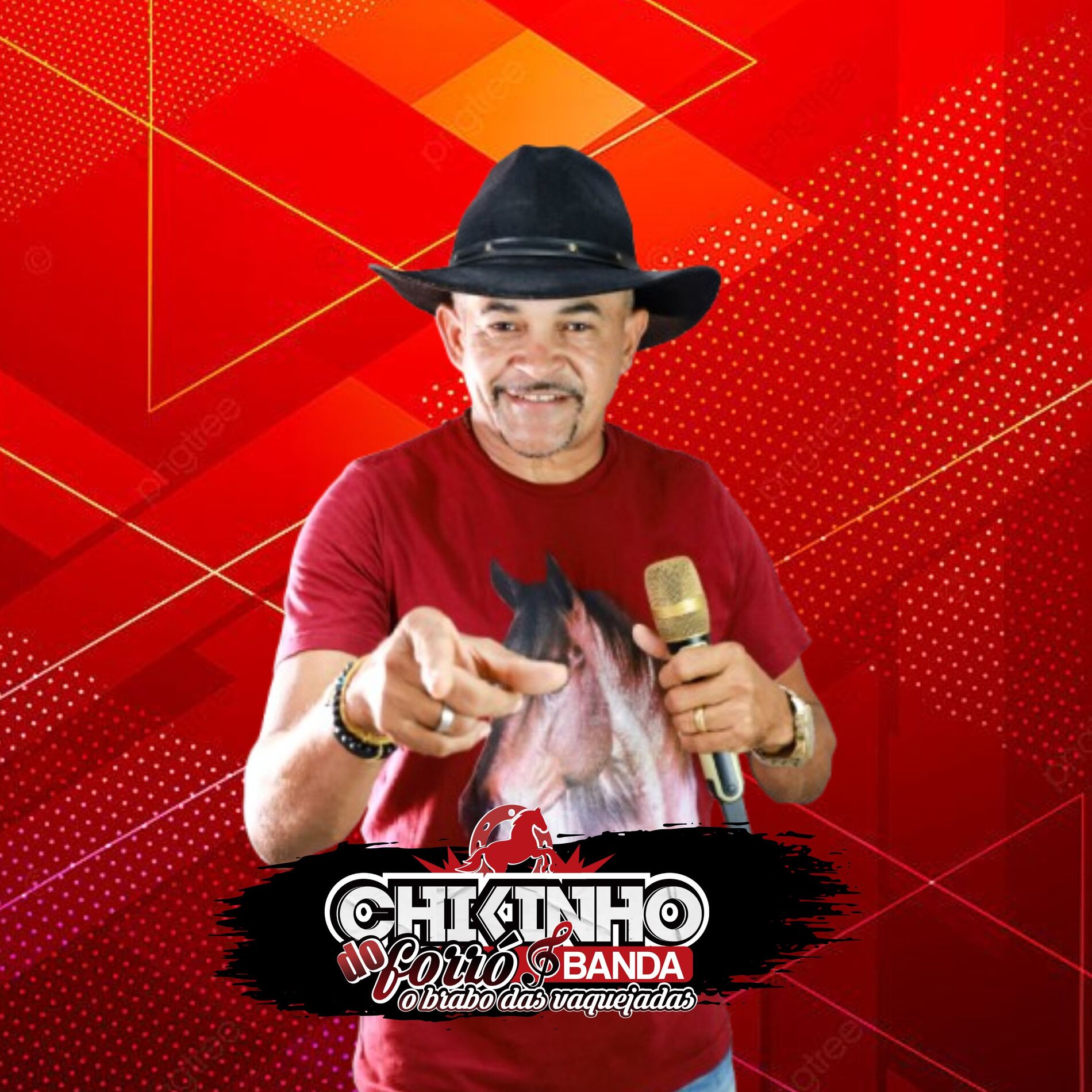 Album cover of Reino Animal