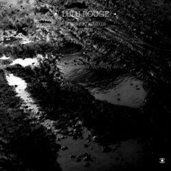 Cover of Bless You remixes part II