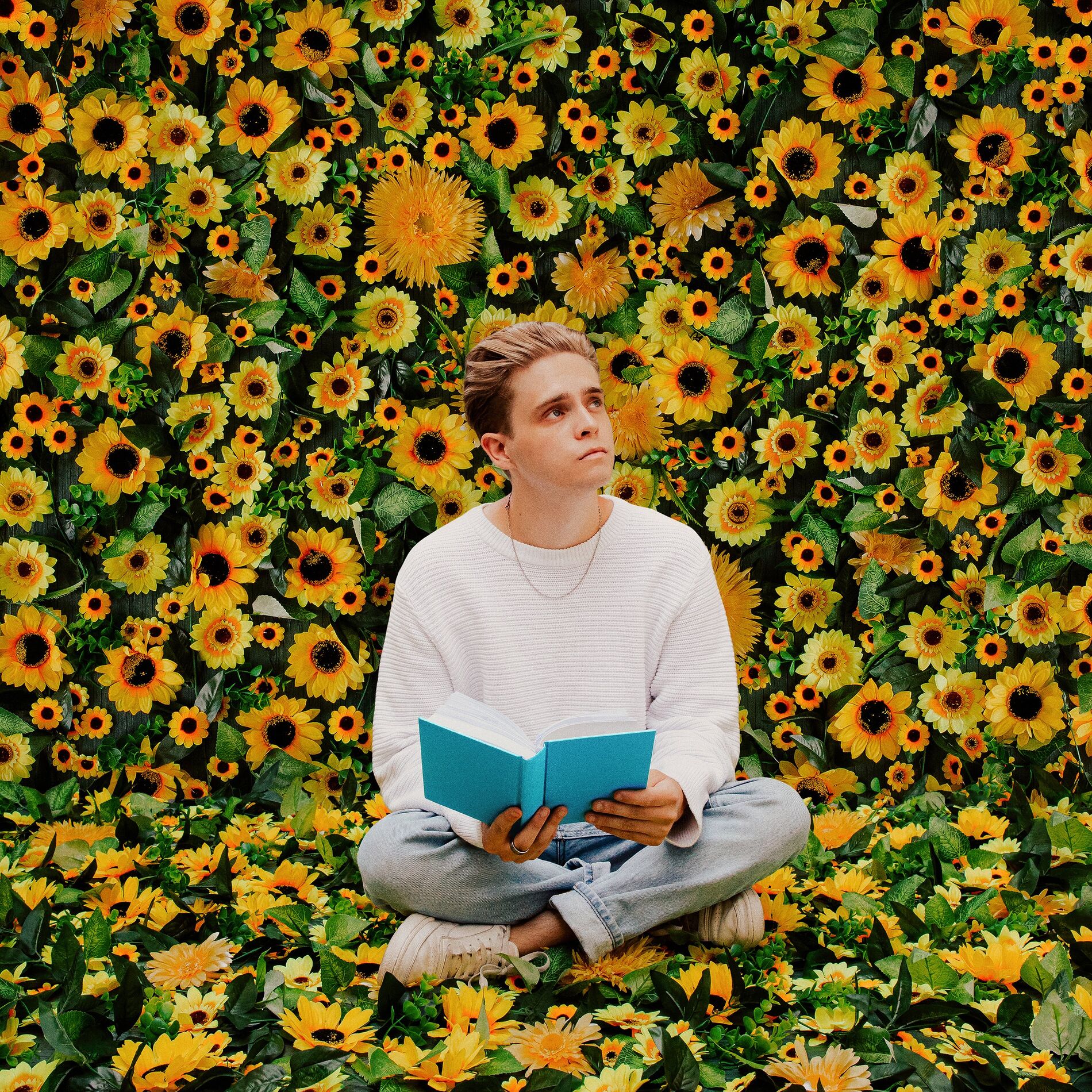 Album cover of SunDayDreams