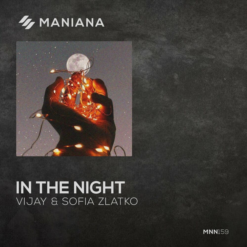 Picture of In the Night