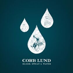Cover of Blood, Sweat & Water