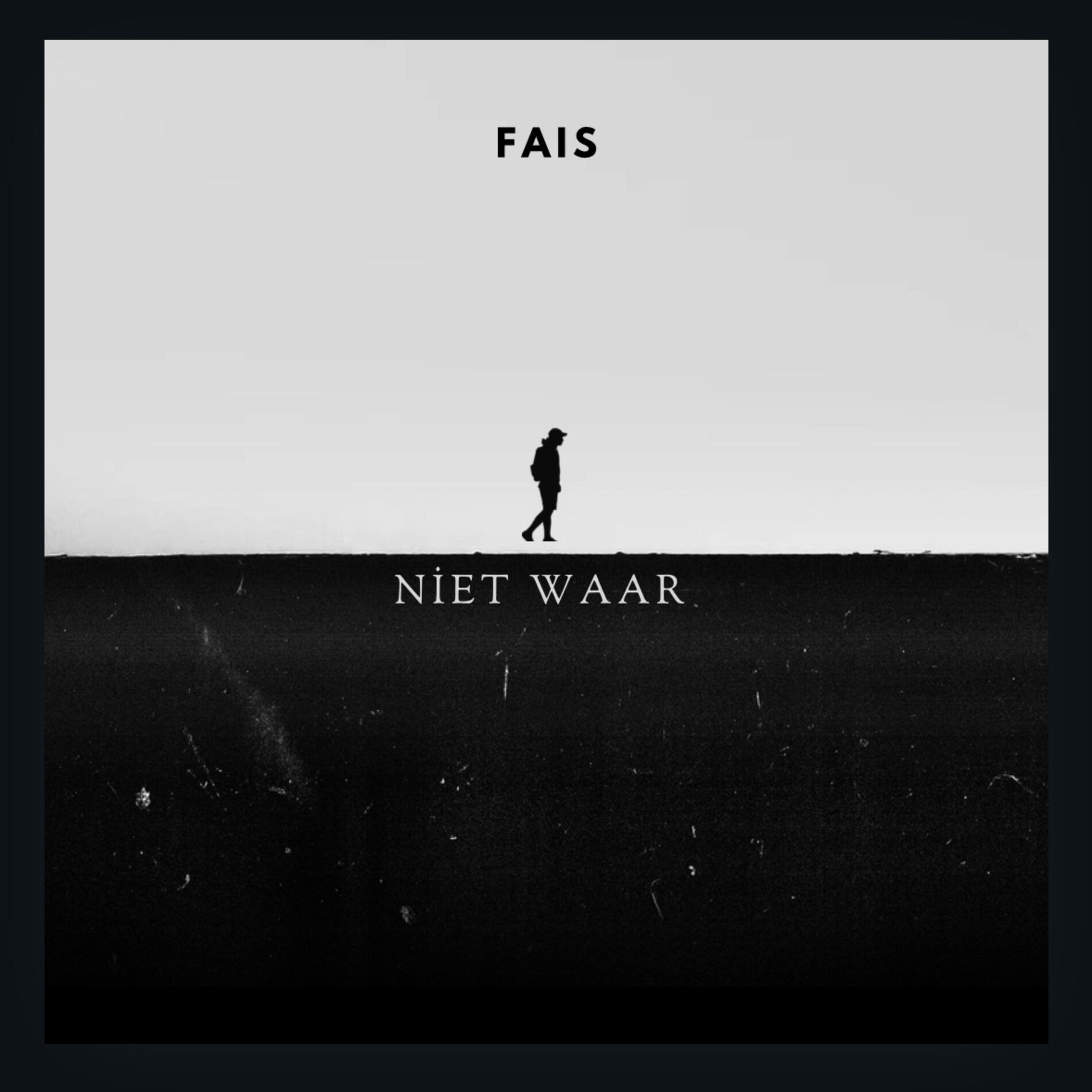 Album cover of NIET WAAR