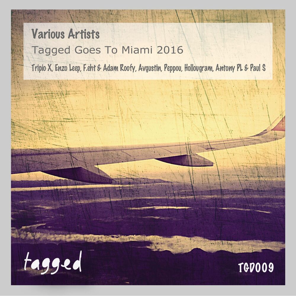 Picture of Tagged Goes To Miami 2016