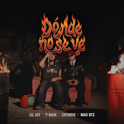 Cover of DÓNDE NO SE VE by undefined