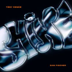 Cover of Shine