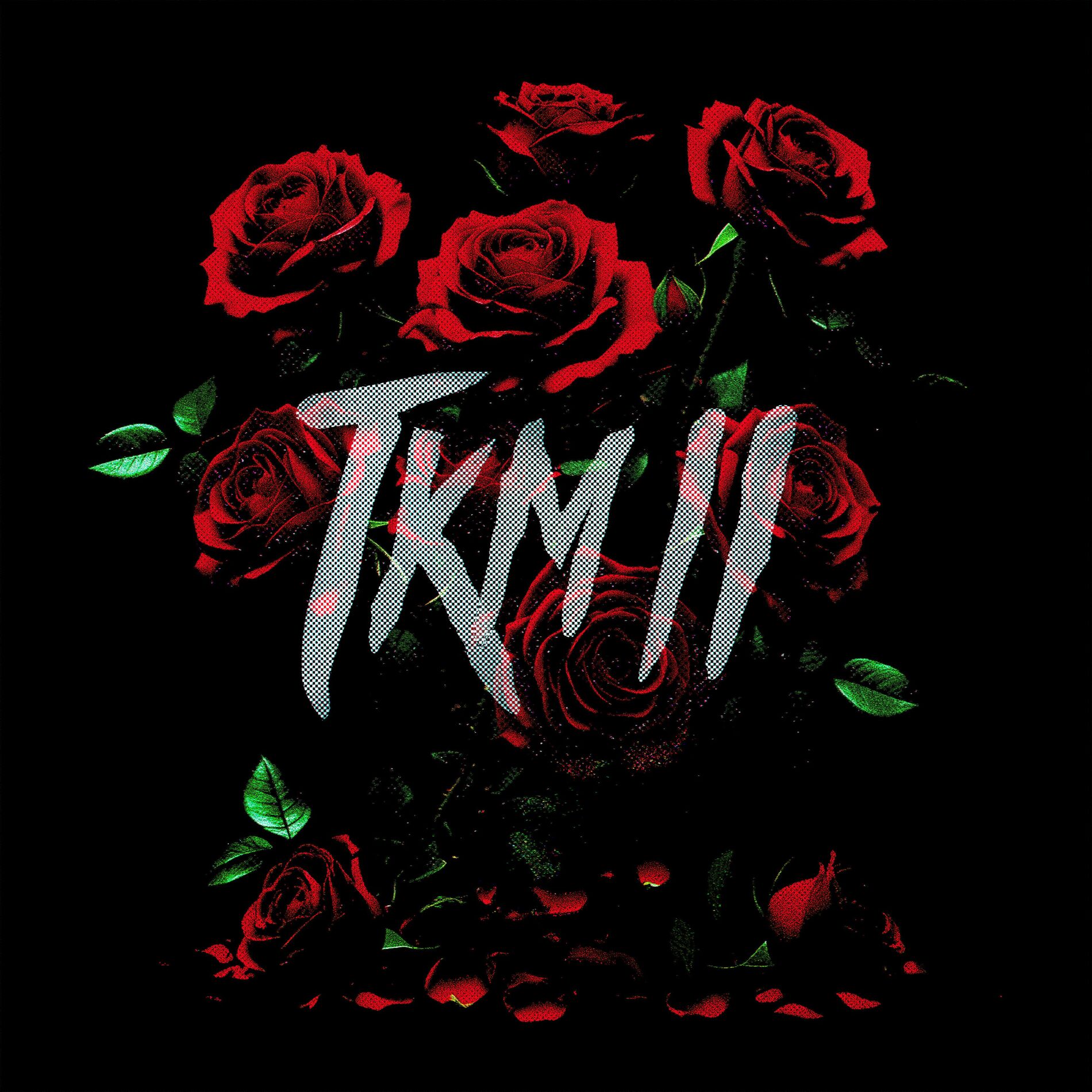 Album cover of TKM II