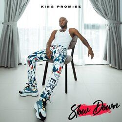 Cover of Slow Down