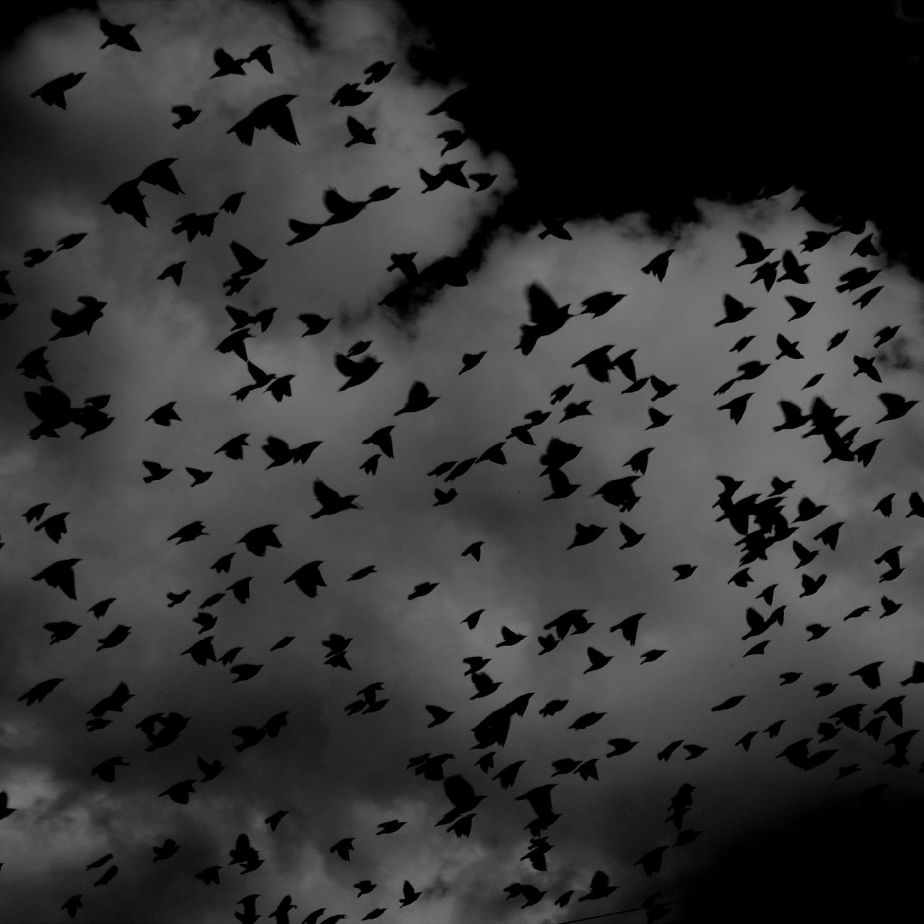 Album cover of Noir Espace