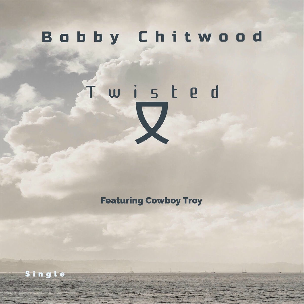 Album cover of Twisted