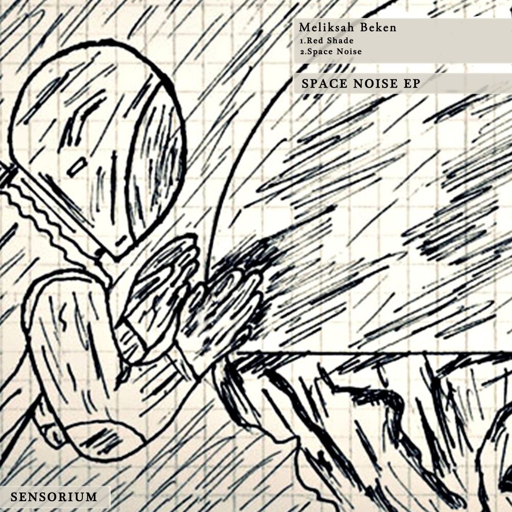 Picture of Space Noise EP