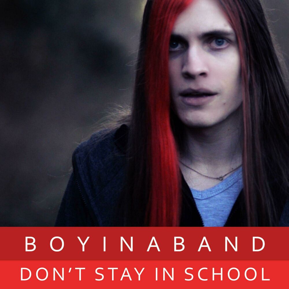 Picture of Don't Stay in School