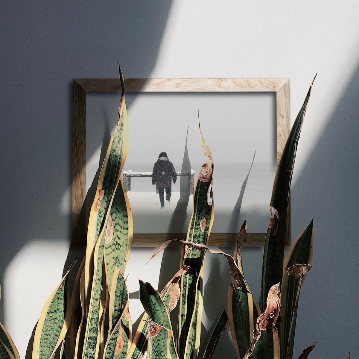 Album cover of Te Voy a Levantar