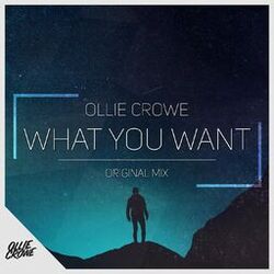 Cover of What You Want