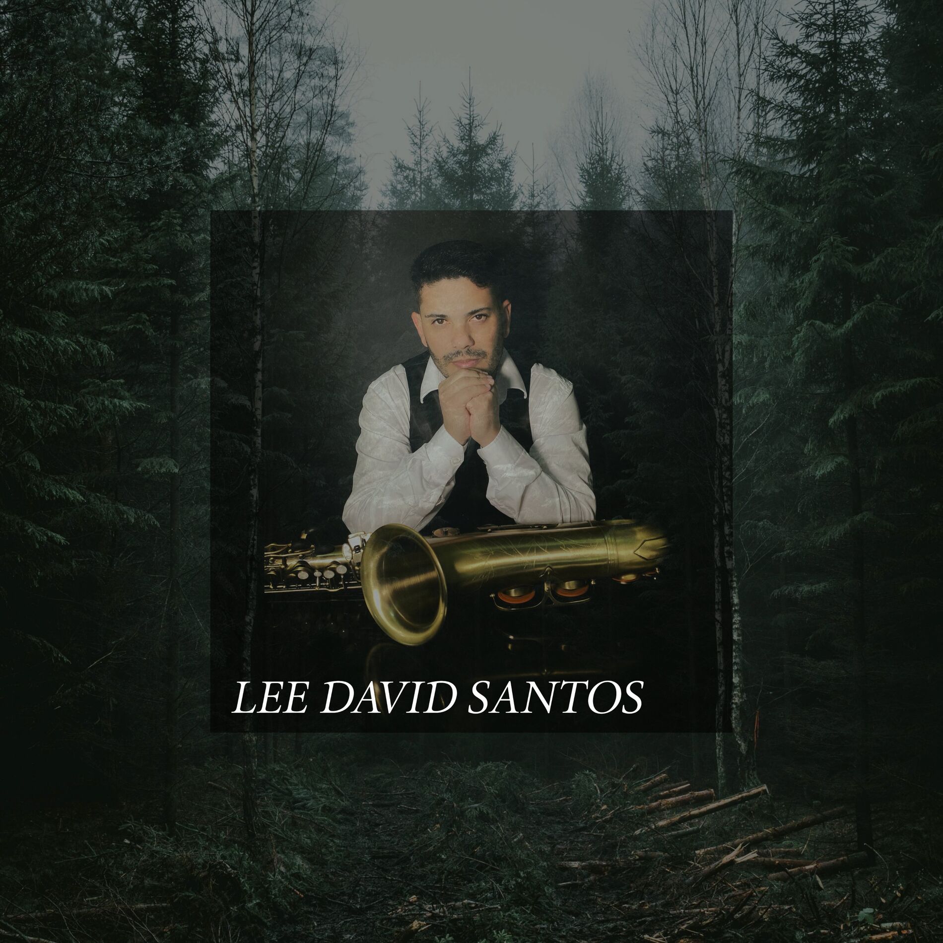 Album cover of Lee David Sax, Worship