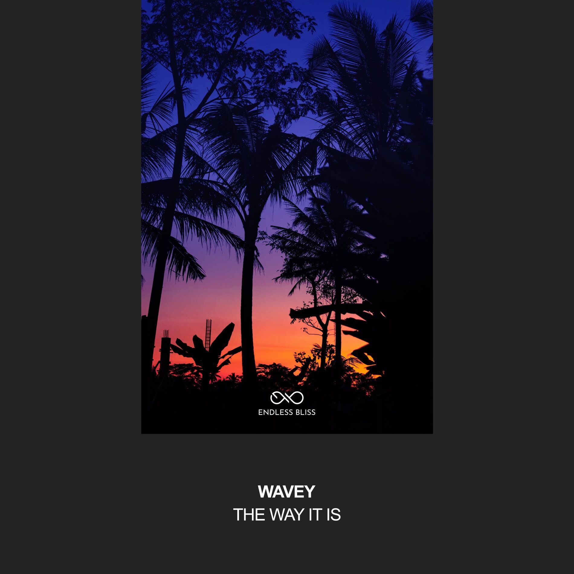 Album cover of The Way It Is
