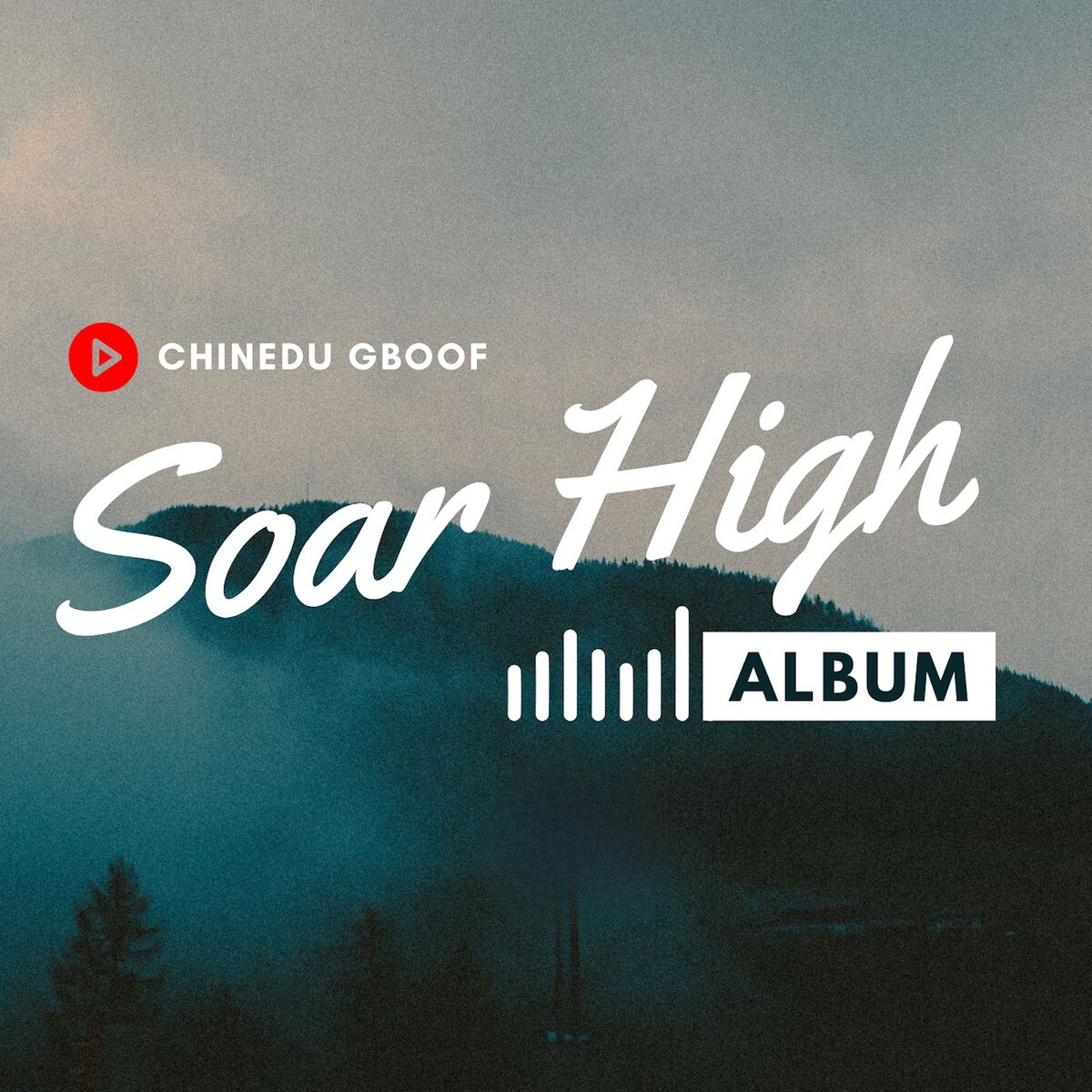 Album cover of Soar High
