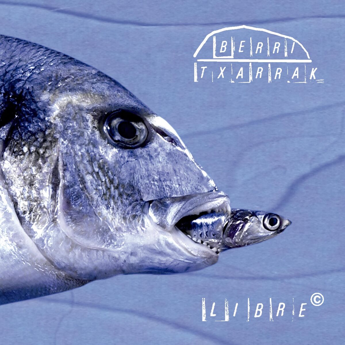 Album cover of Denak Ez Du Balio