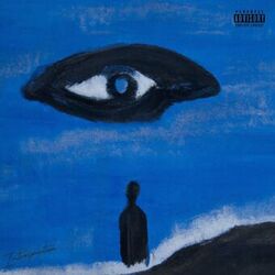 Cover of Introspection