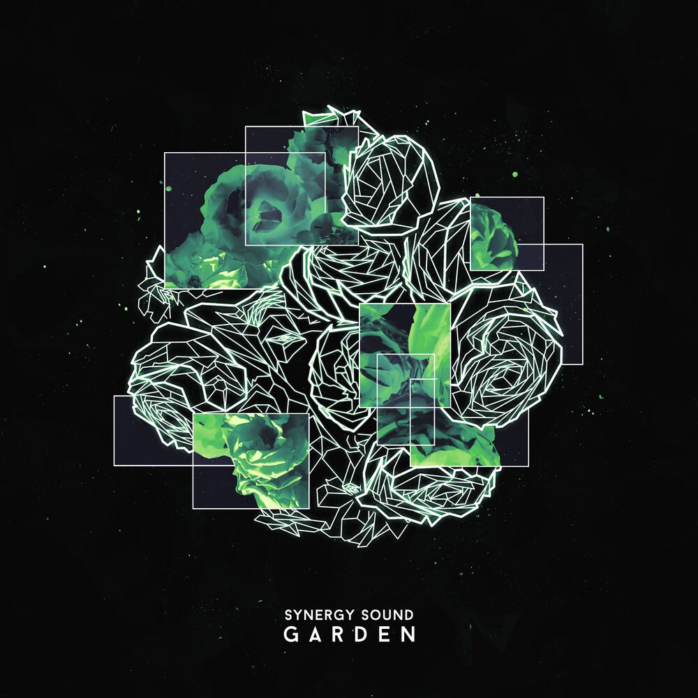 Picture of Garden