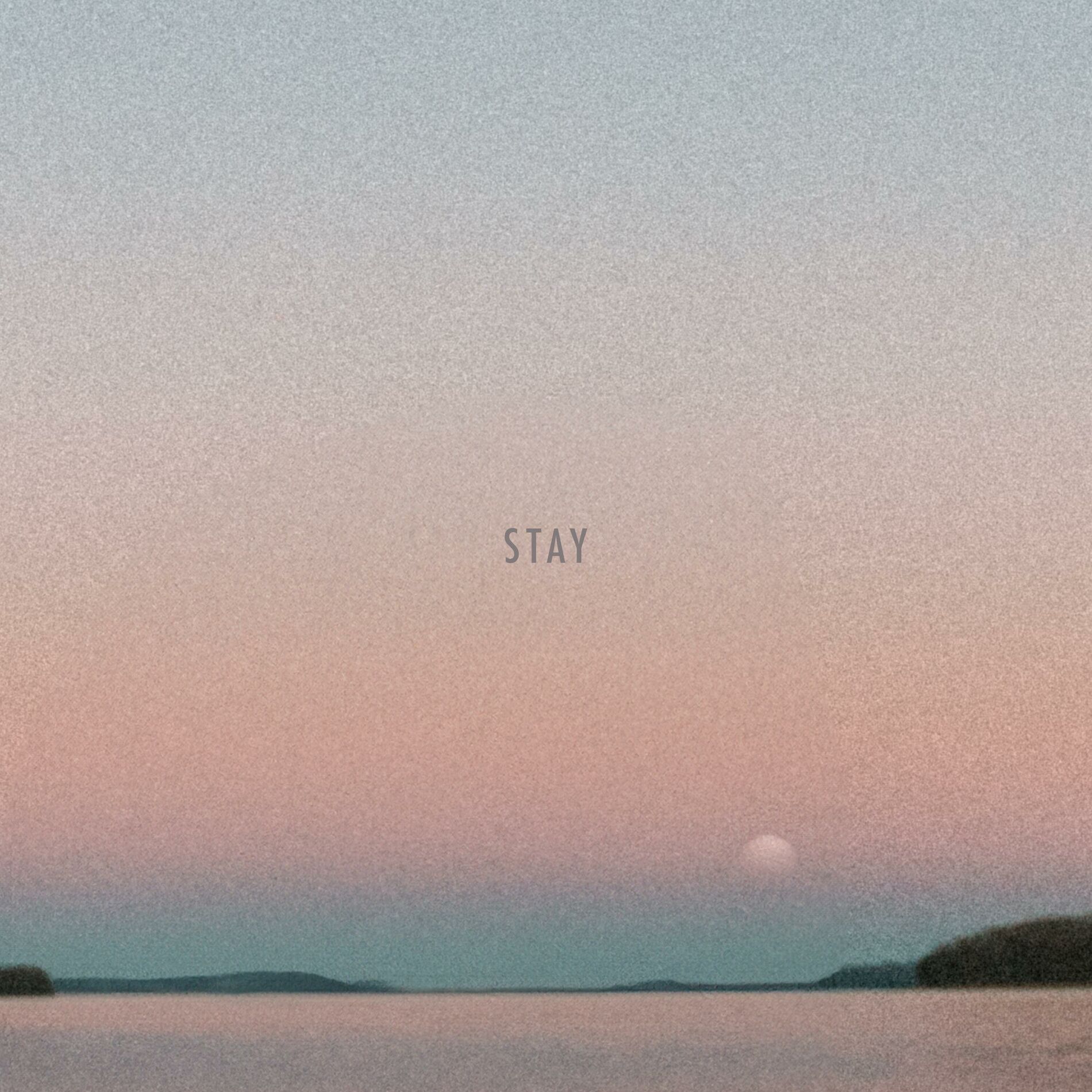 Album cover of stay