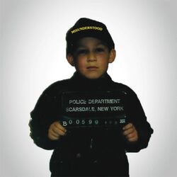 Cover of MISUNDERSTOOD