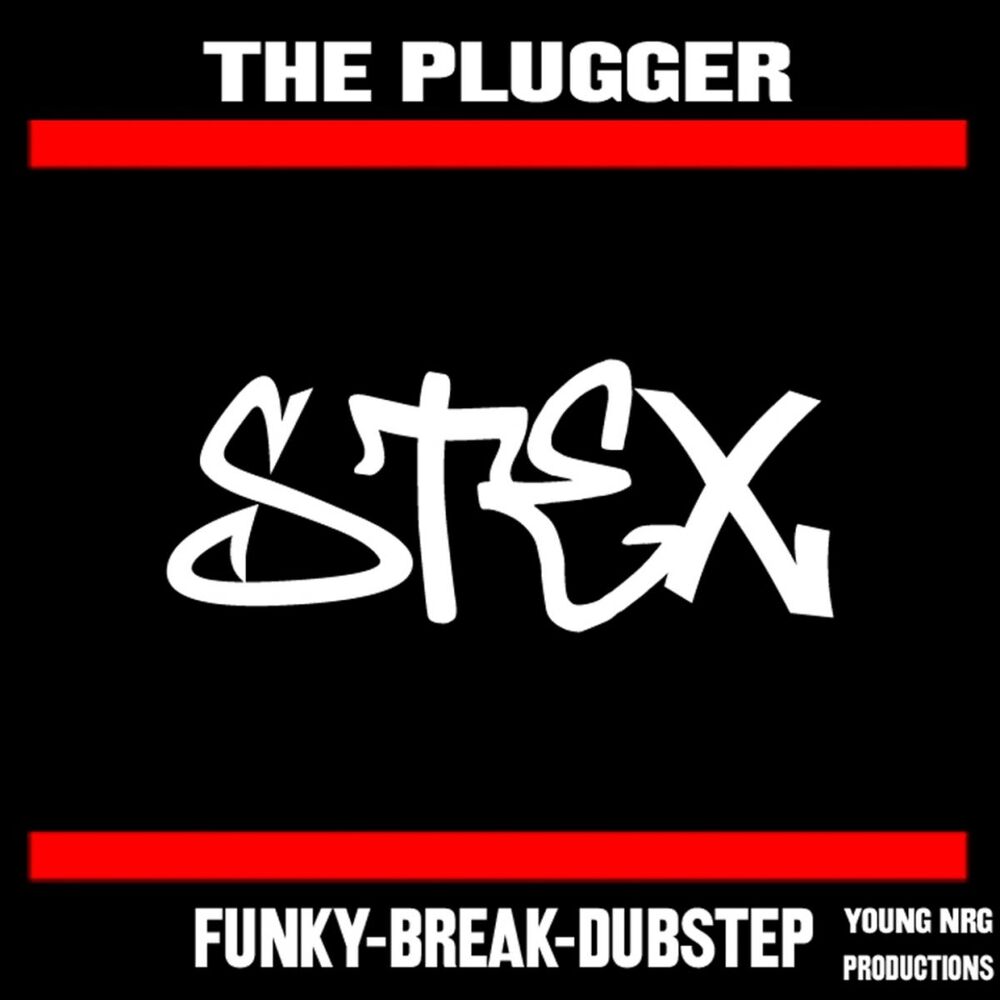 Picture of The Plugger