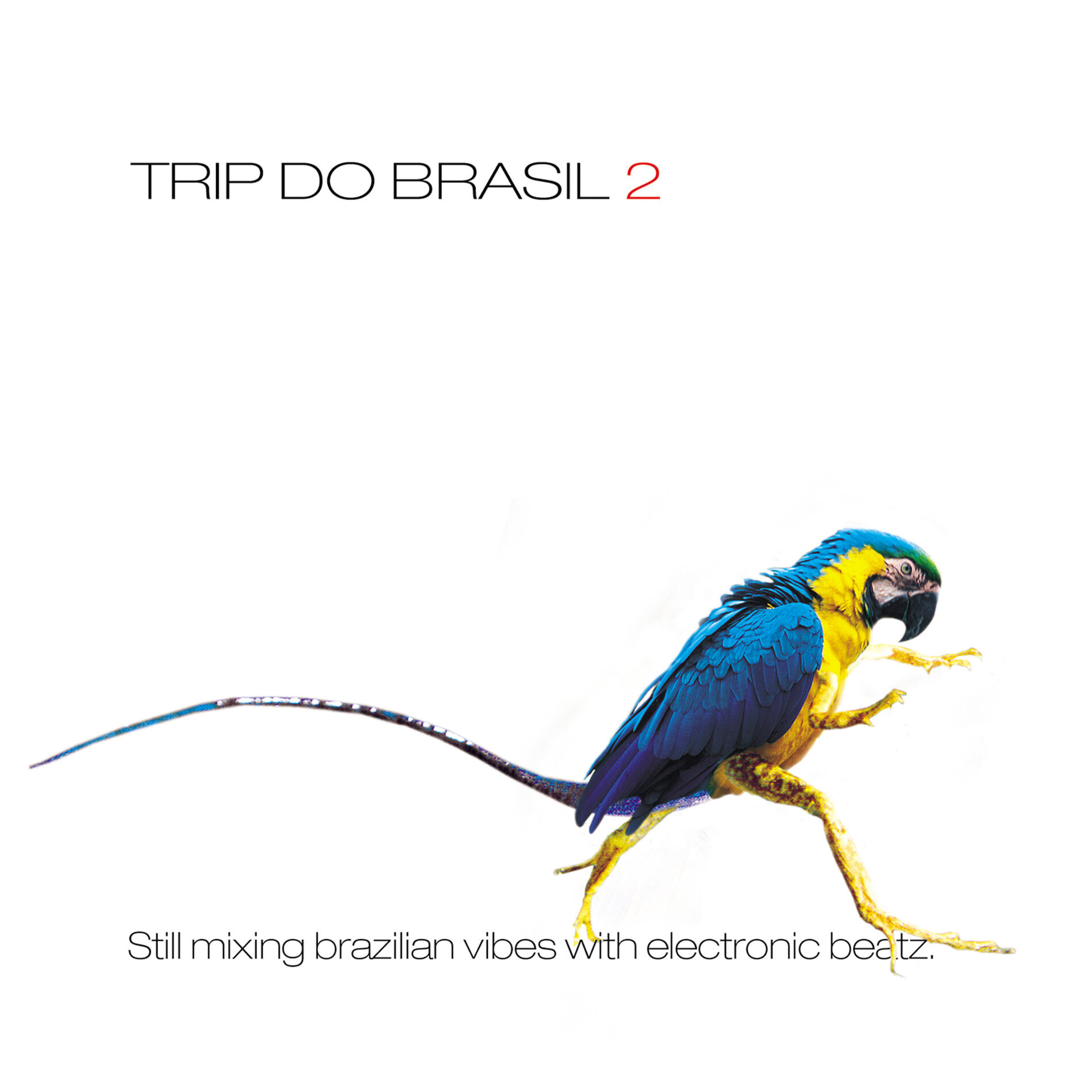 Album cover of Brazil.com