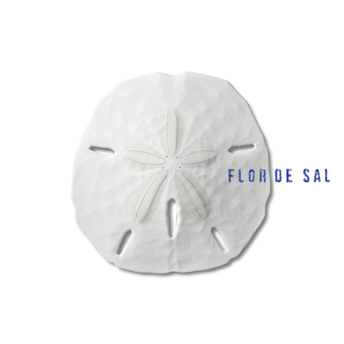 Album cover of Flor de Sal