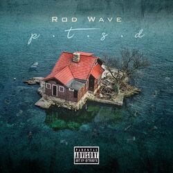 Cover of PTSD