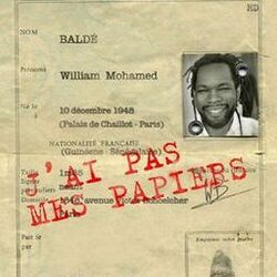 Cover of J'ai pas mes papiers (new mix)