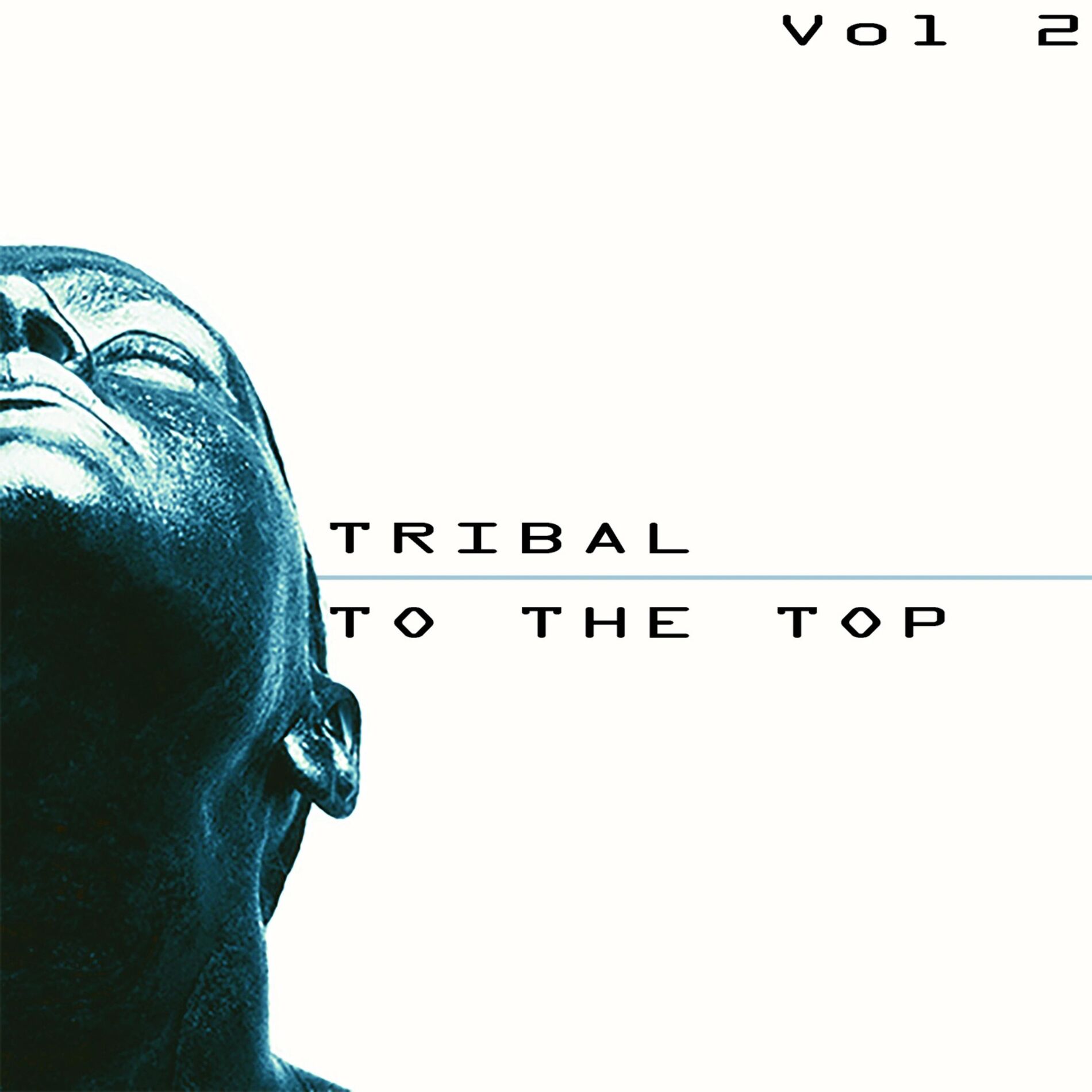 Album cover of Tribal to the Top, Vol. 2 - Tribal for Every Mood (Album)