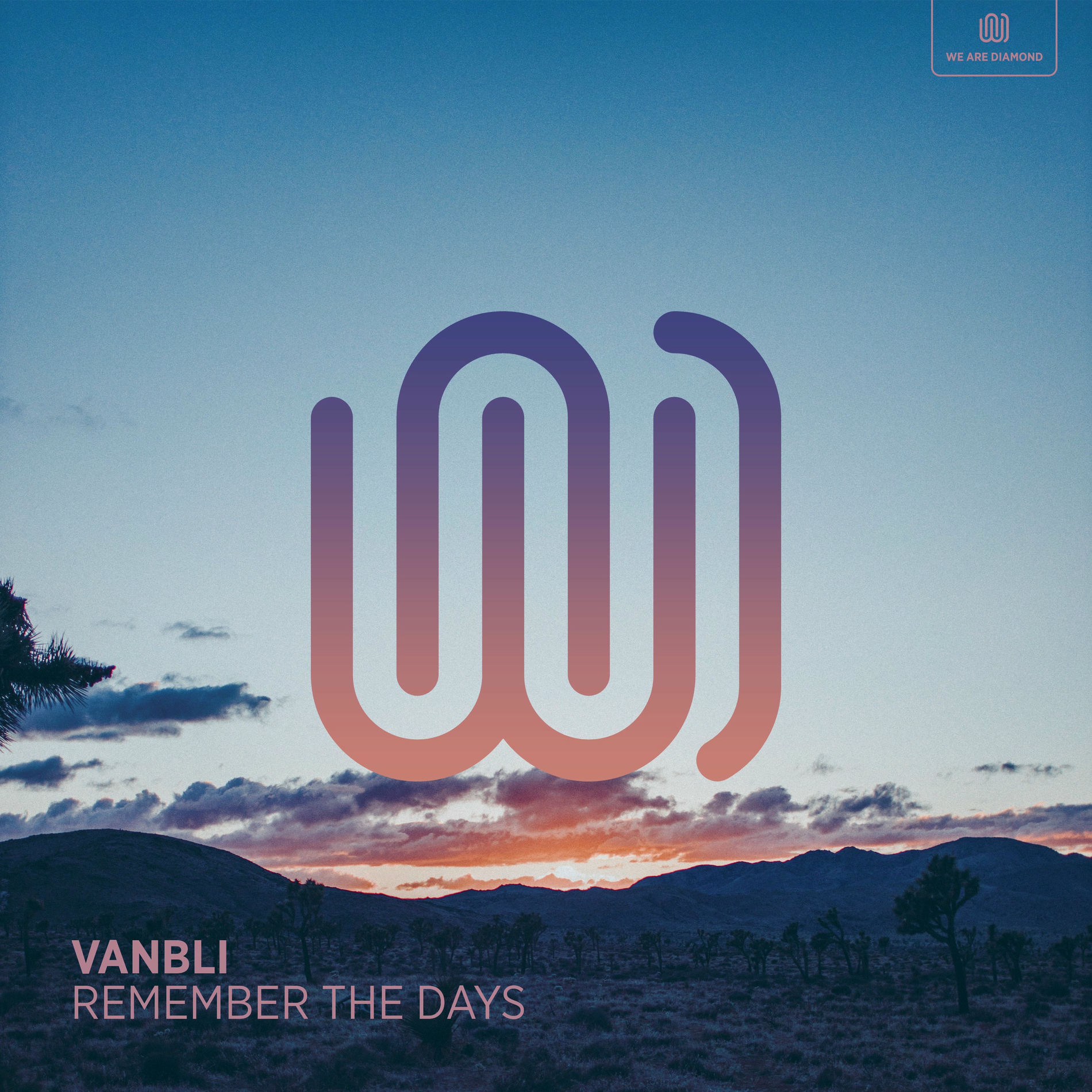 Album cover of Remember the Days
