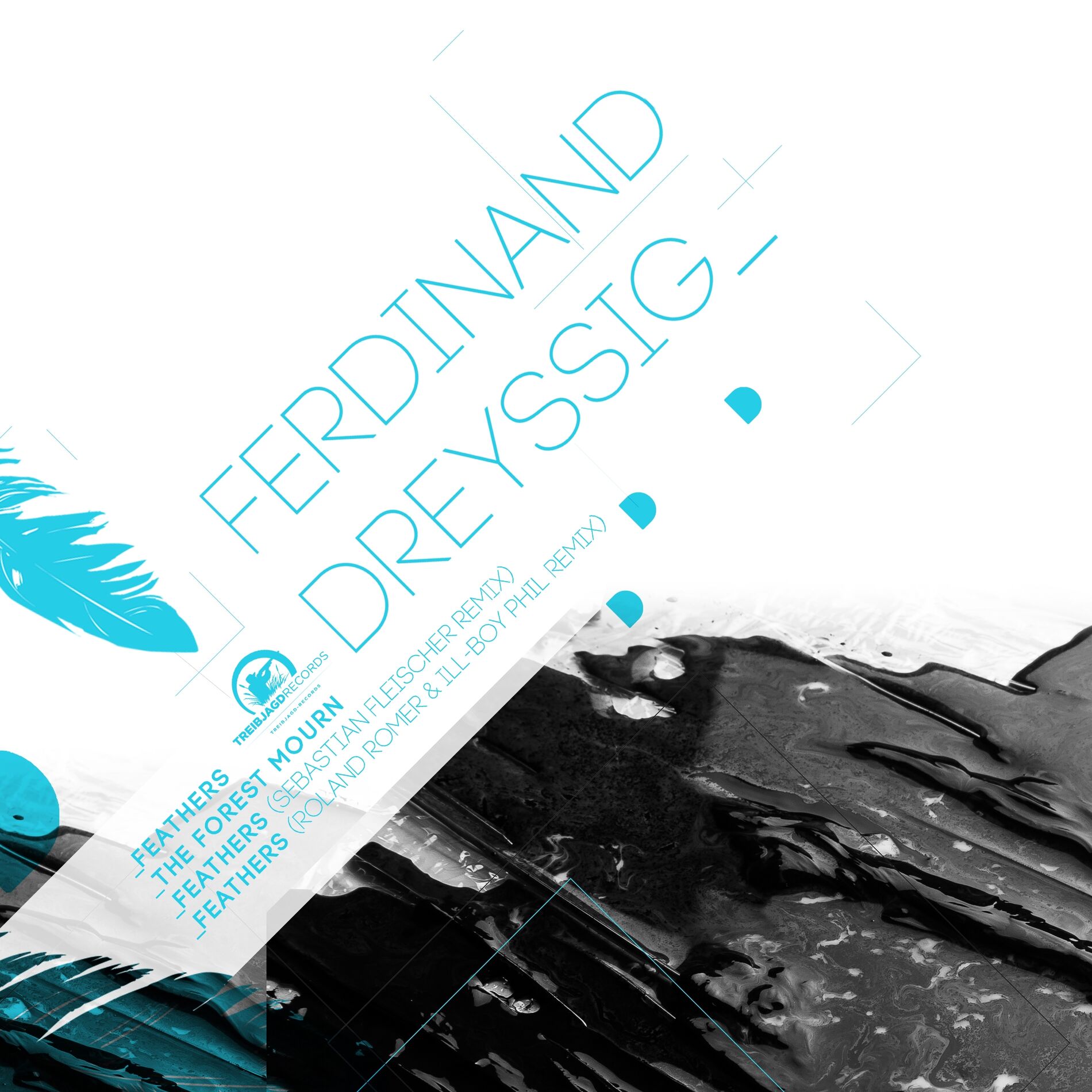 Album cover of Feathers