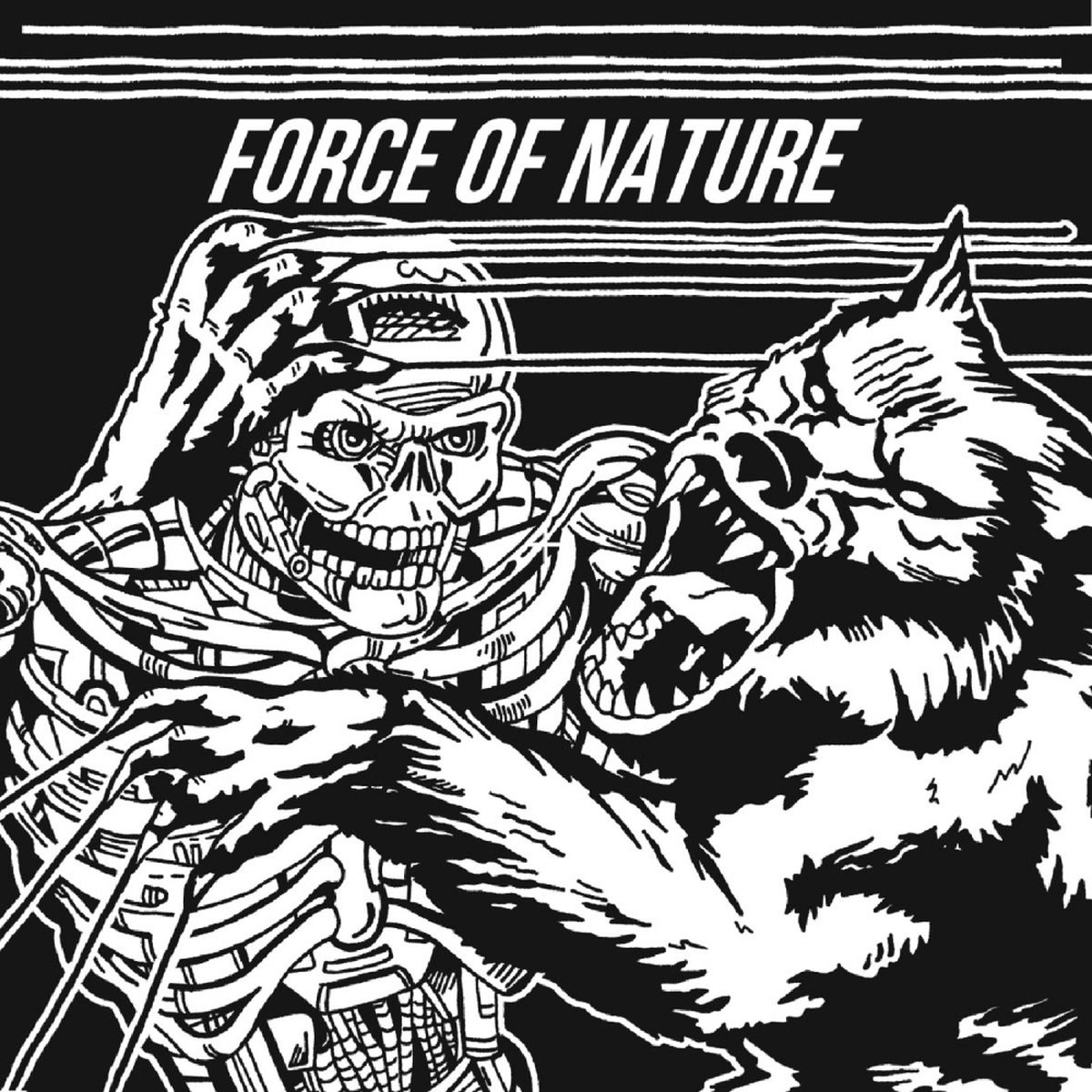 Album cover of Force of Nature