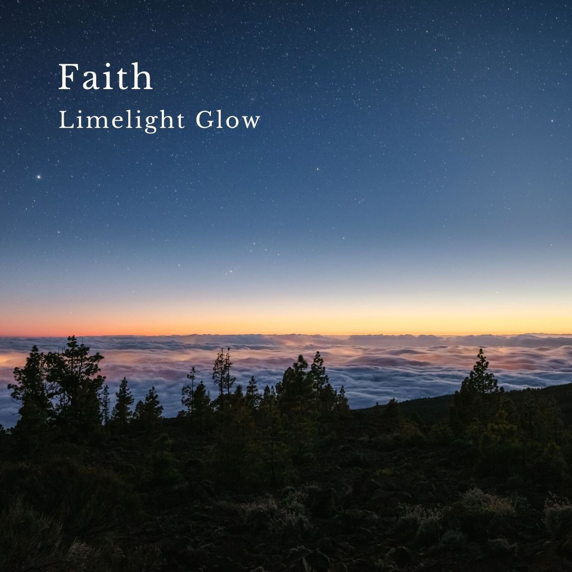 Album cover of Faith (Strings Version)