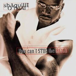 Cover of You Can't Stop the Reign