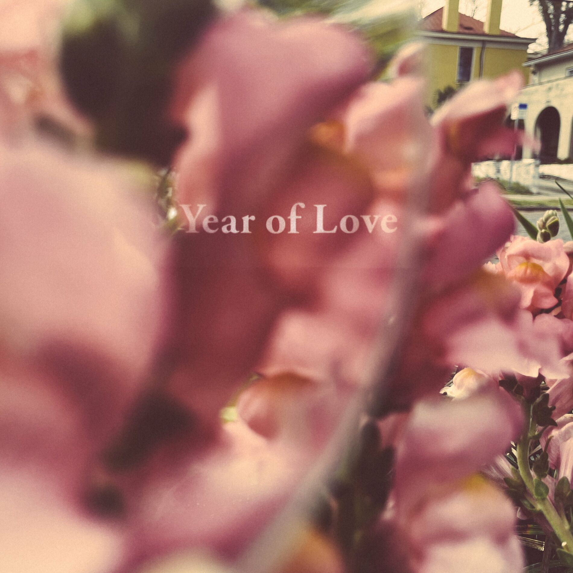 Album cover of Afraid of Love