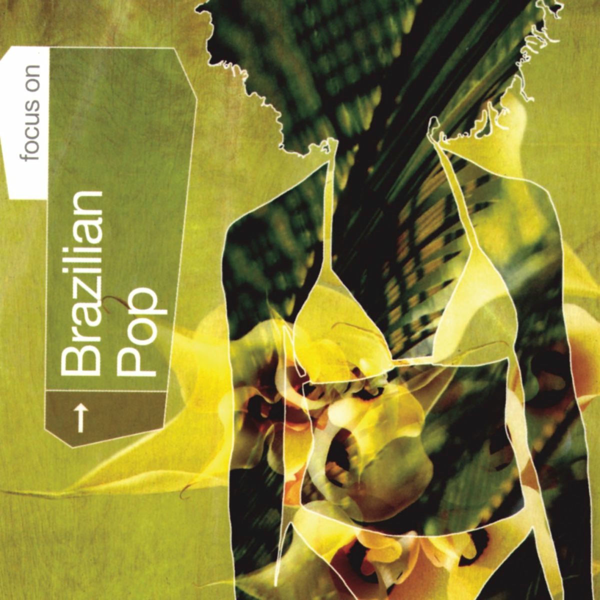 Album cover of Focus On...Brazilian Pop