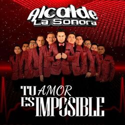 Cover of TU AMOR ES IMPOSIBLE
