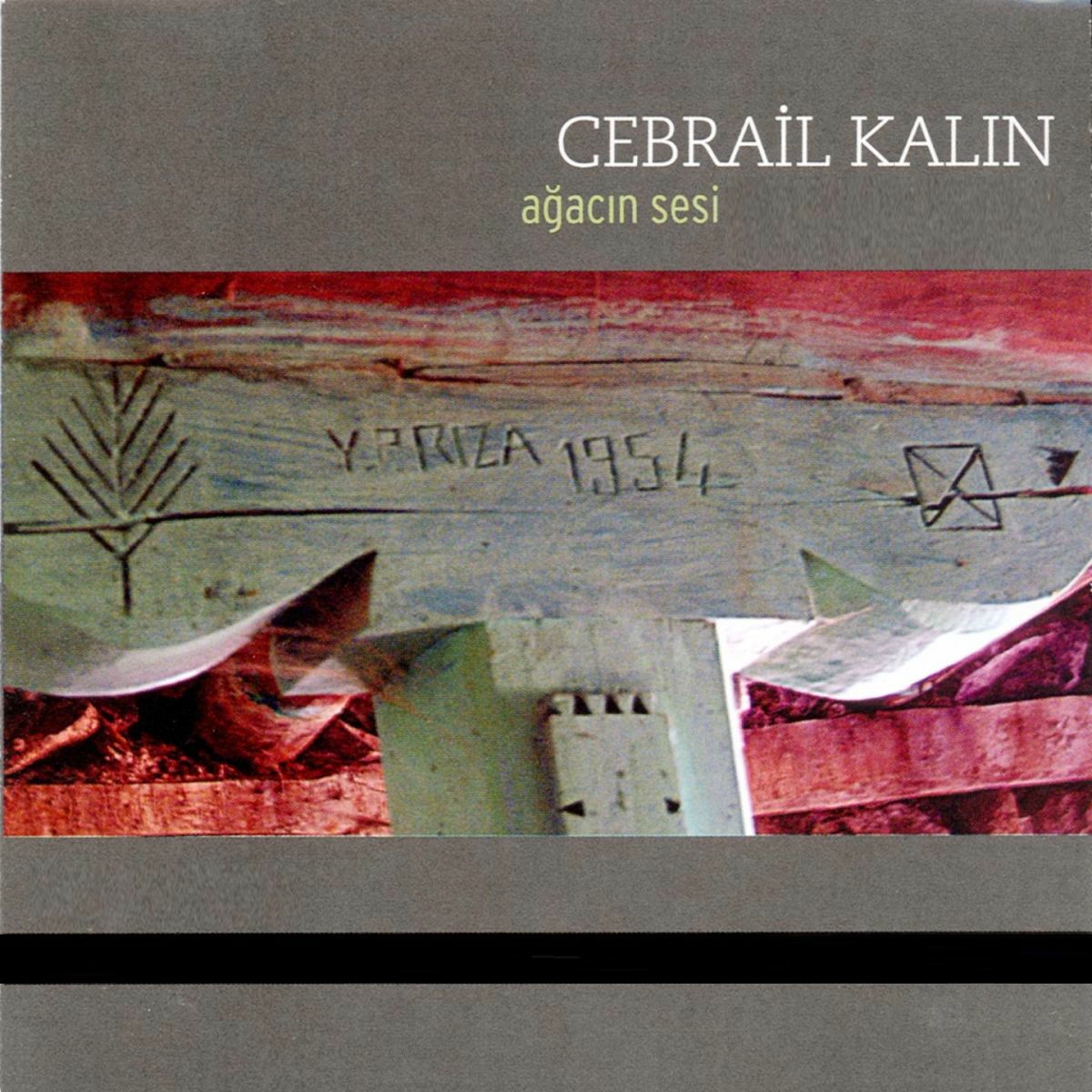 Album cover of Ağacın Sesi