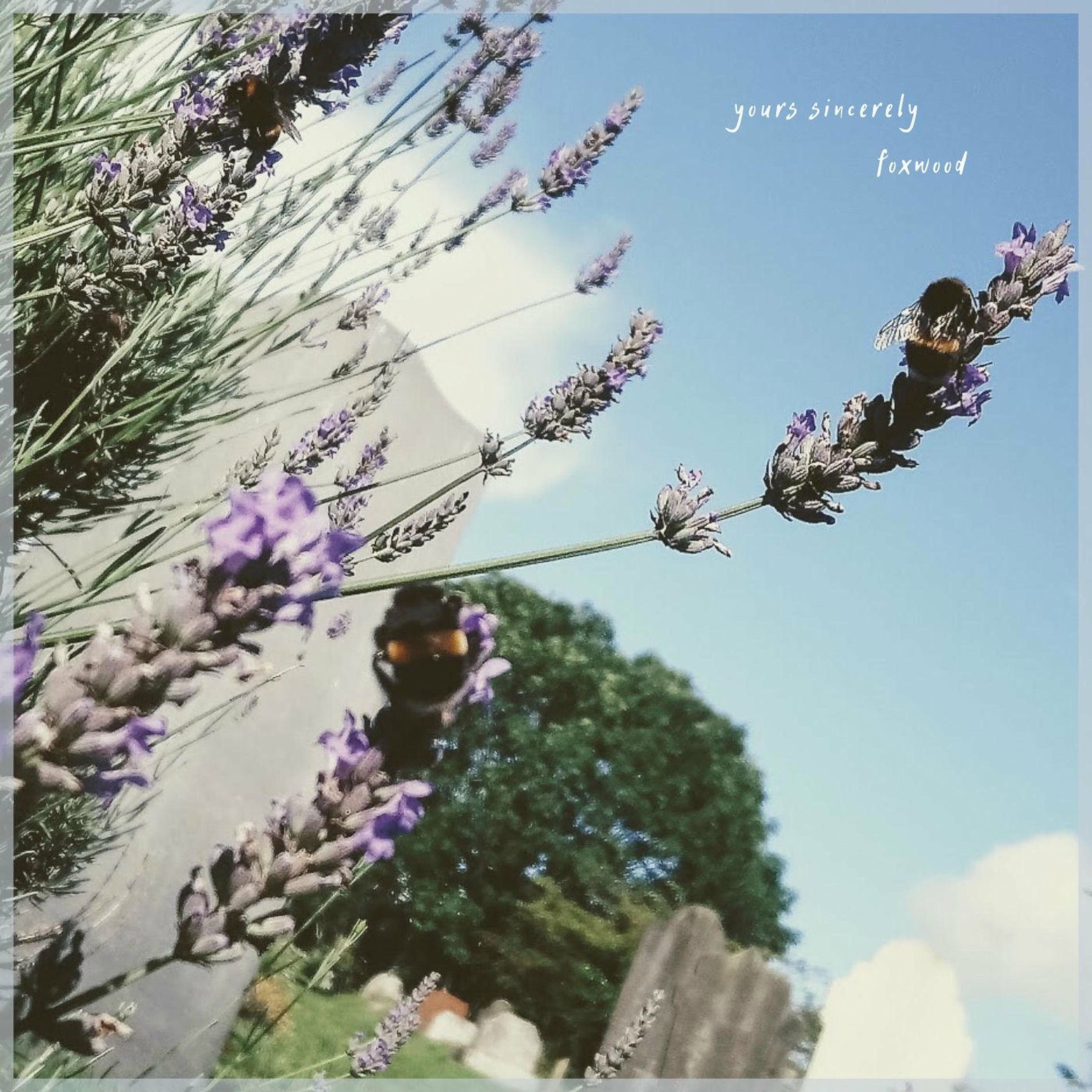 Album cover of Yours Sincerely