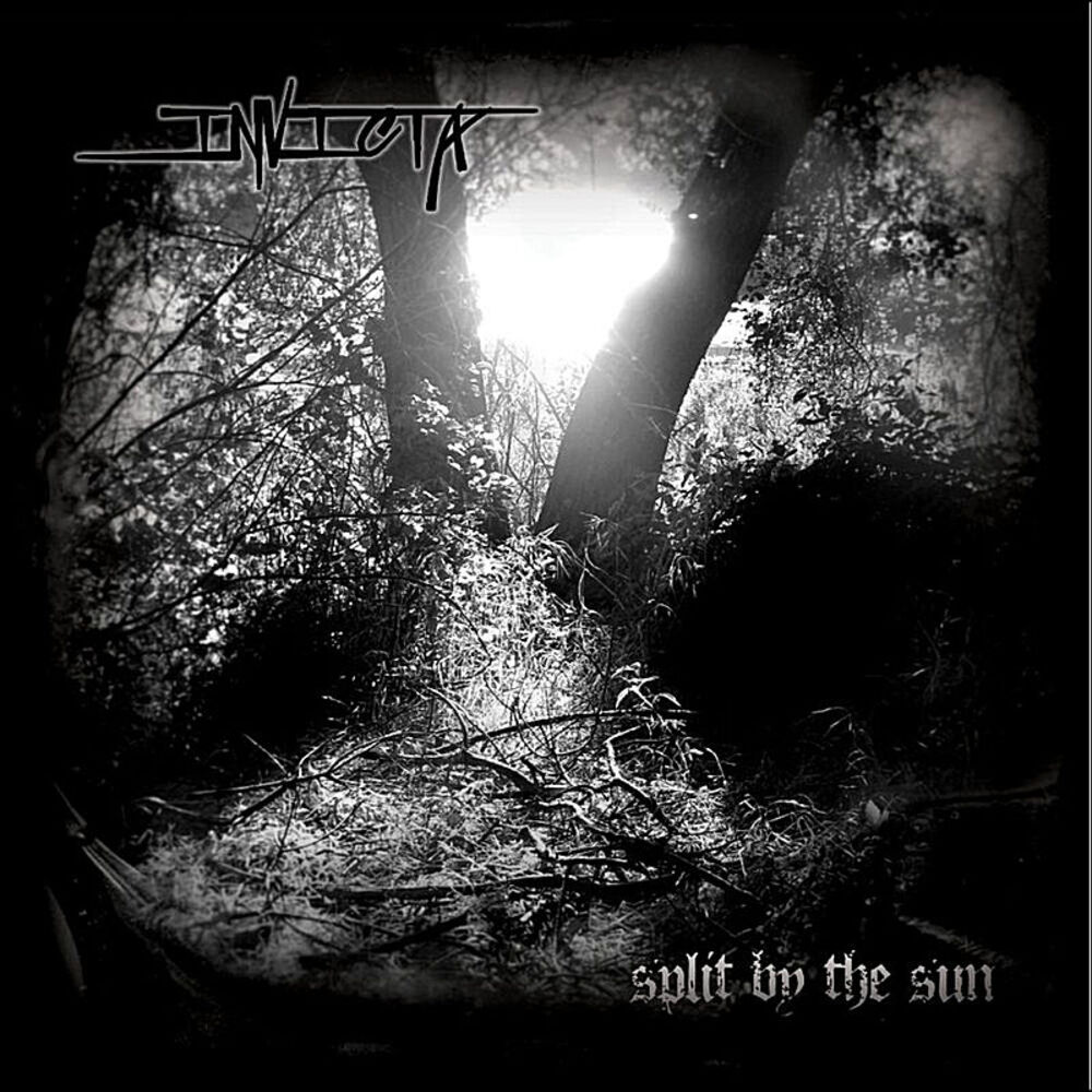 Picture of Split by the Sun