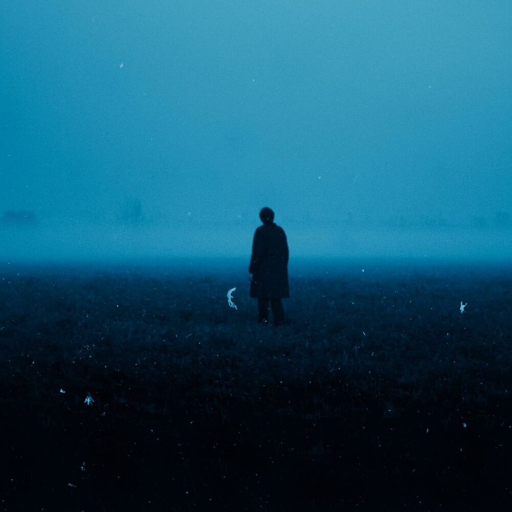 Picture of if you want to be reborn, empty's the best way to be