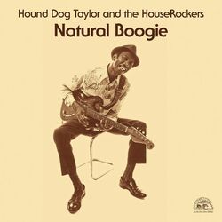 Cover of Natural Boogie (Remastered)
