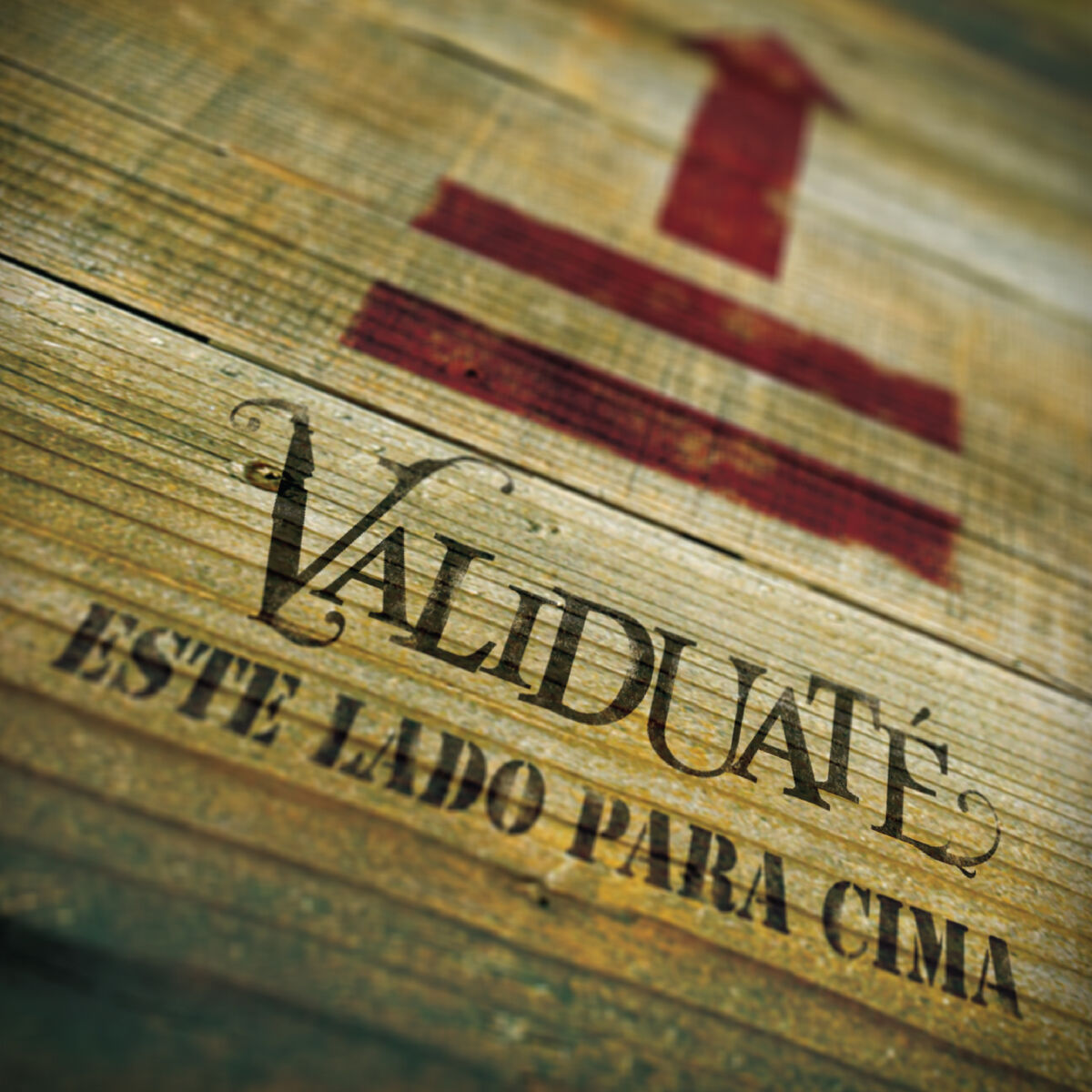 Album cover of Este Lado para Cima